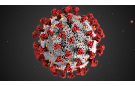 Coronavirus